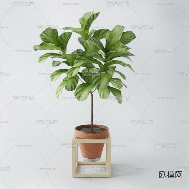 现代植物盆栽3D模型
