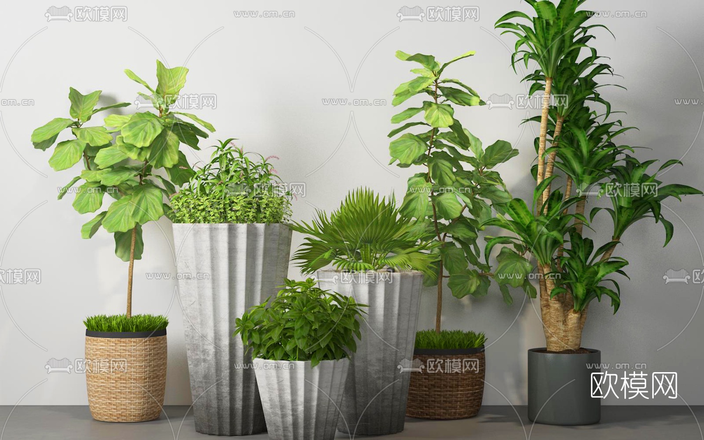现代绿植盆栽3D模型