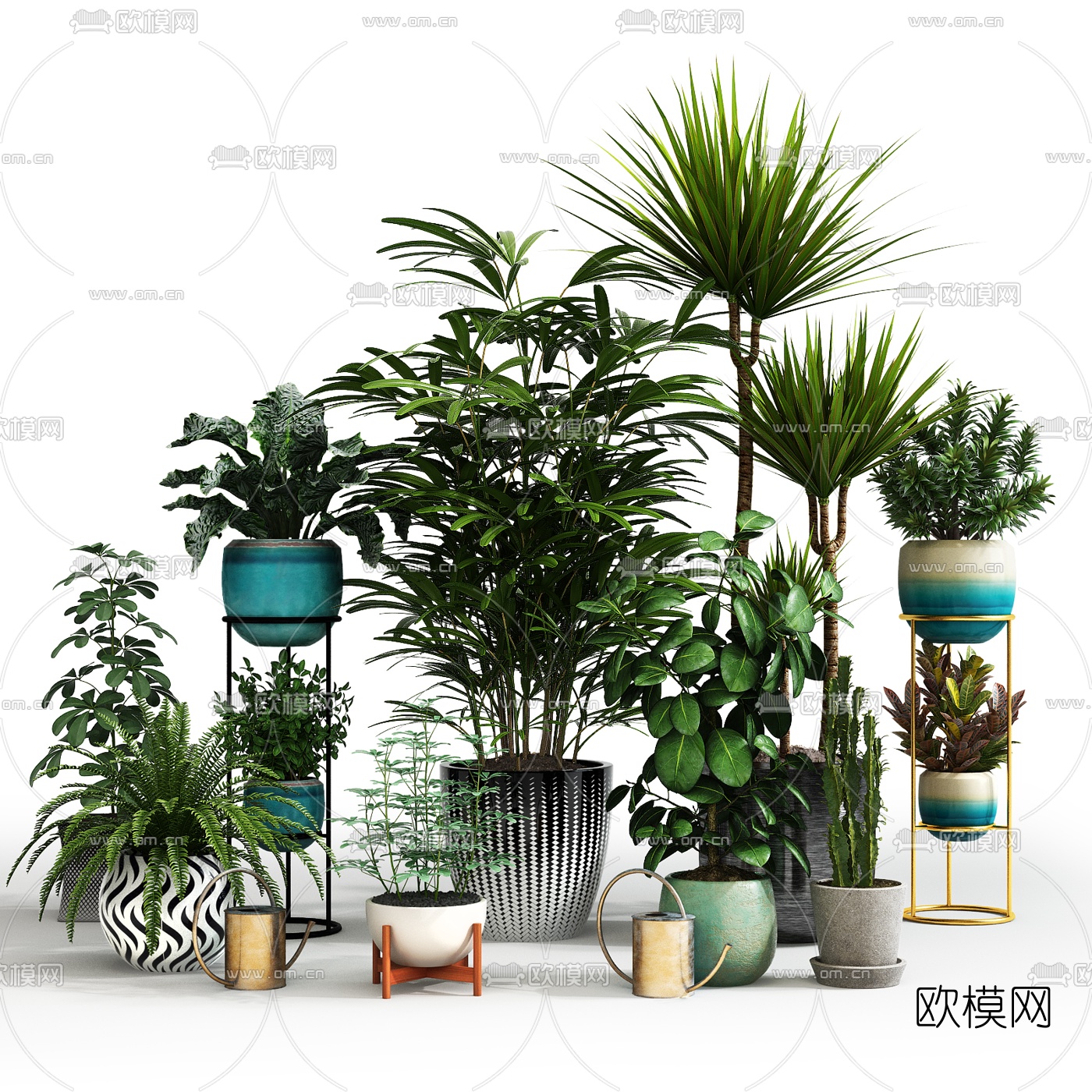 现代植物盆栽3d模型