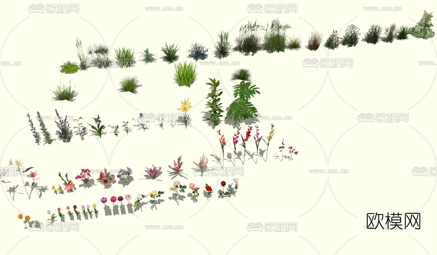 现代花草植物组合su模型下载（渲染图1）