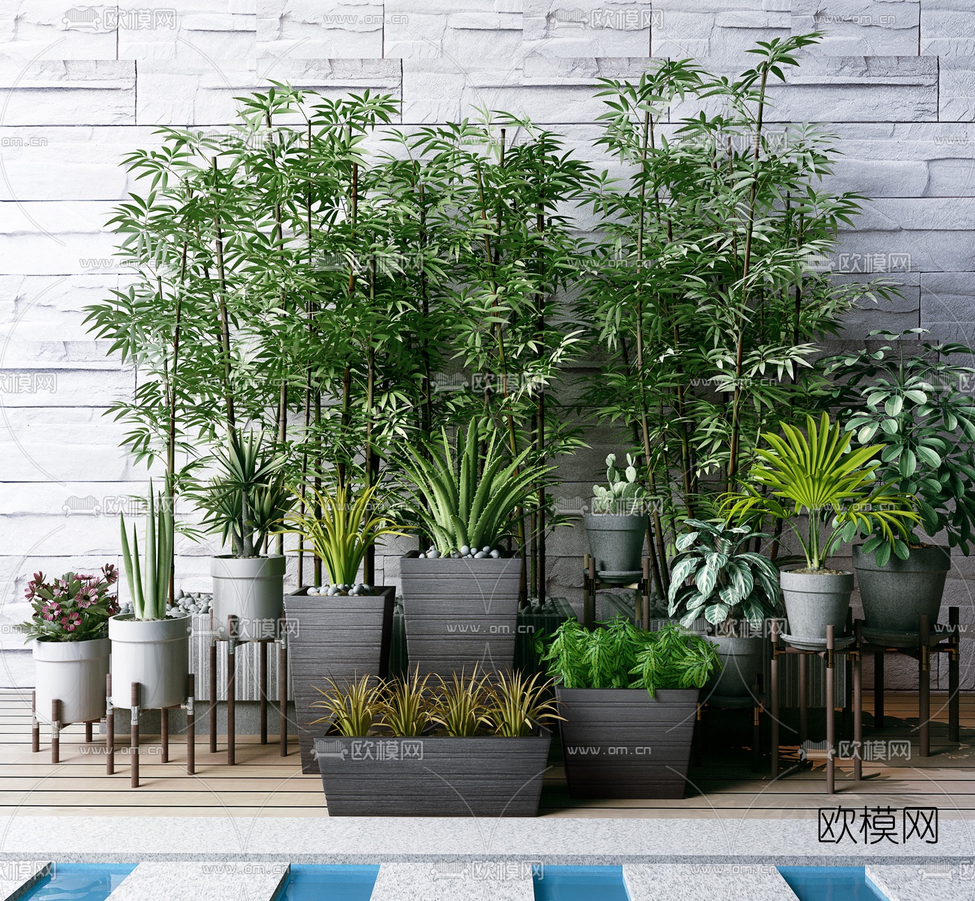 现代竹子芦荟仙人掌盆栽组合3d模型下载
