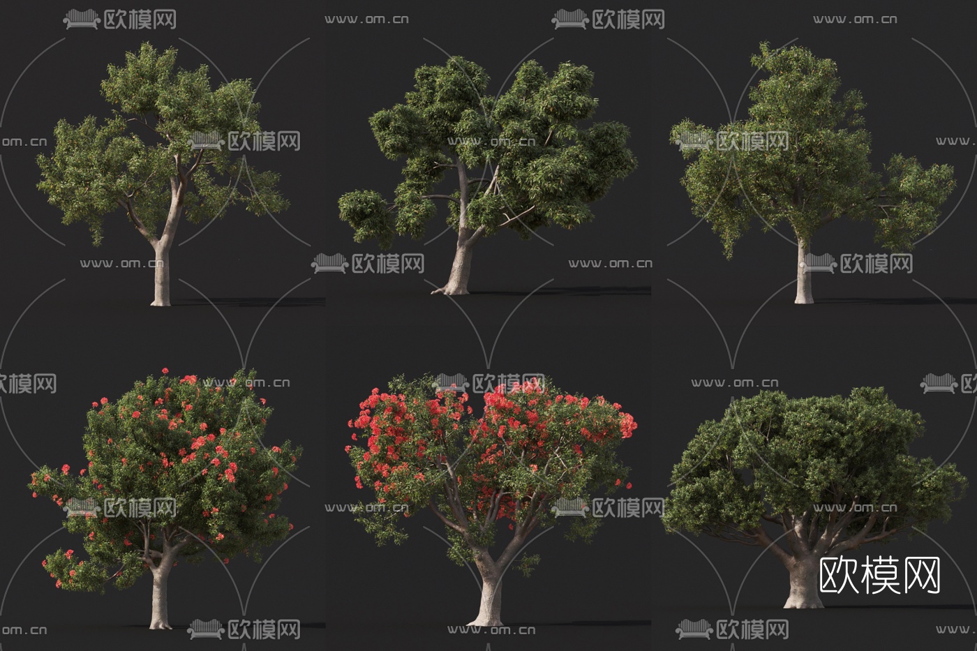 现代景观树3d模型下载