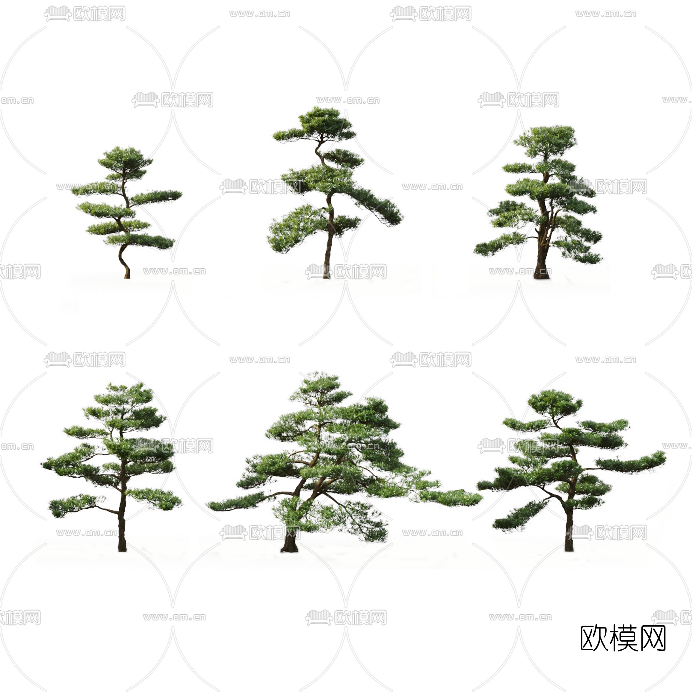 中式景观松树3d模型-免费3dmax模型库-欧模网