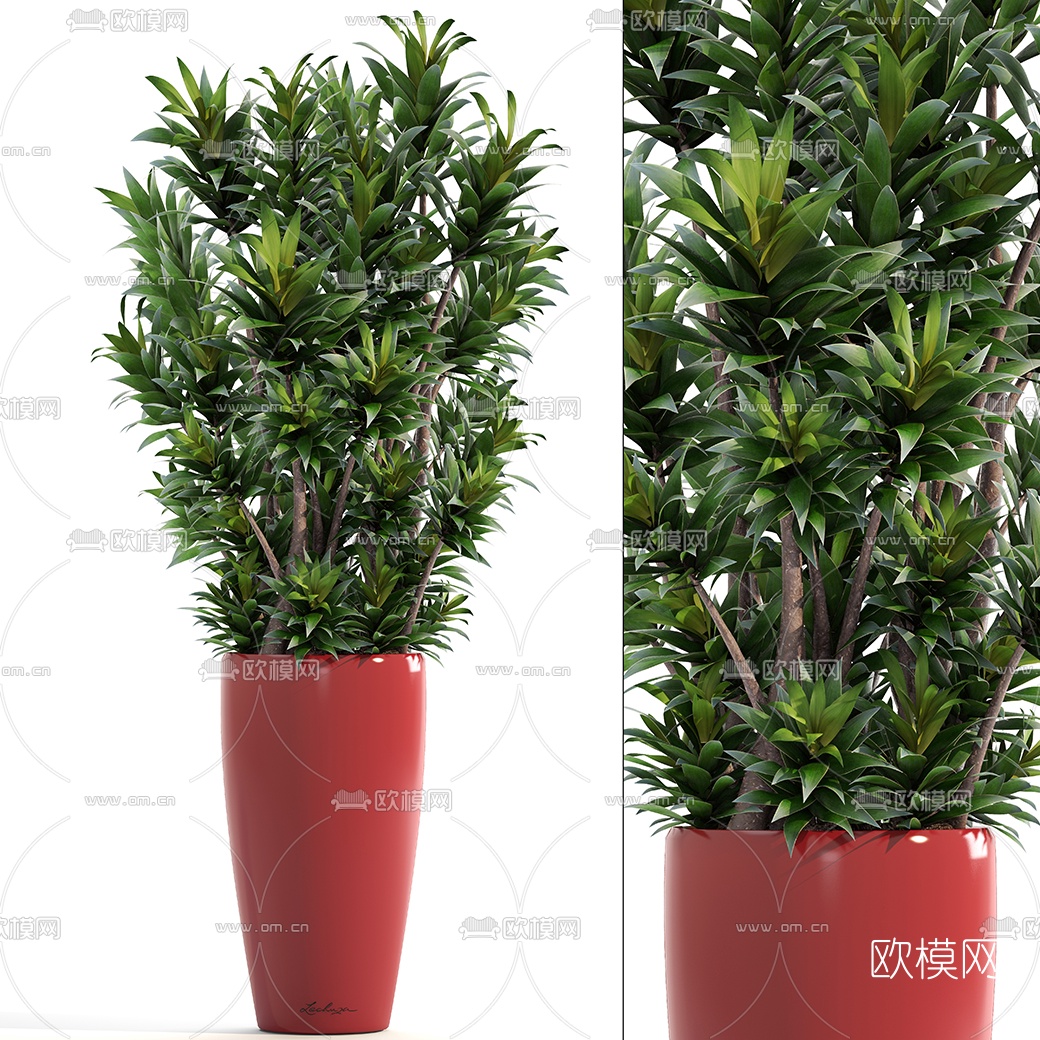 现代绿植盆栽3D模型