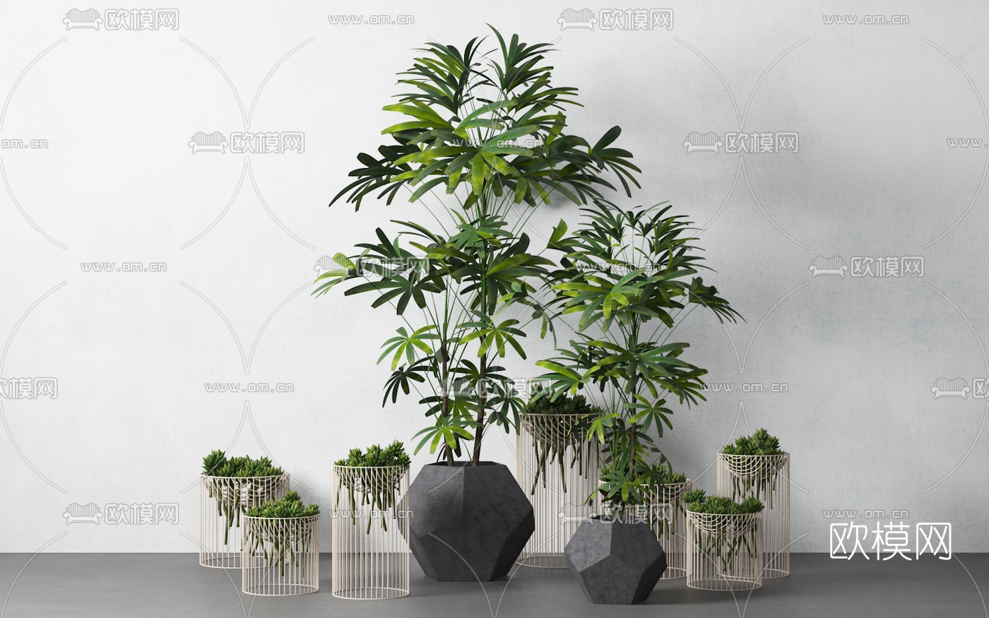 现代植物盆栽组合3d模型下载