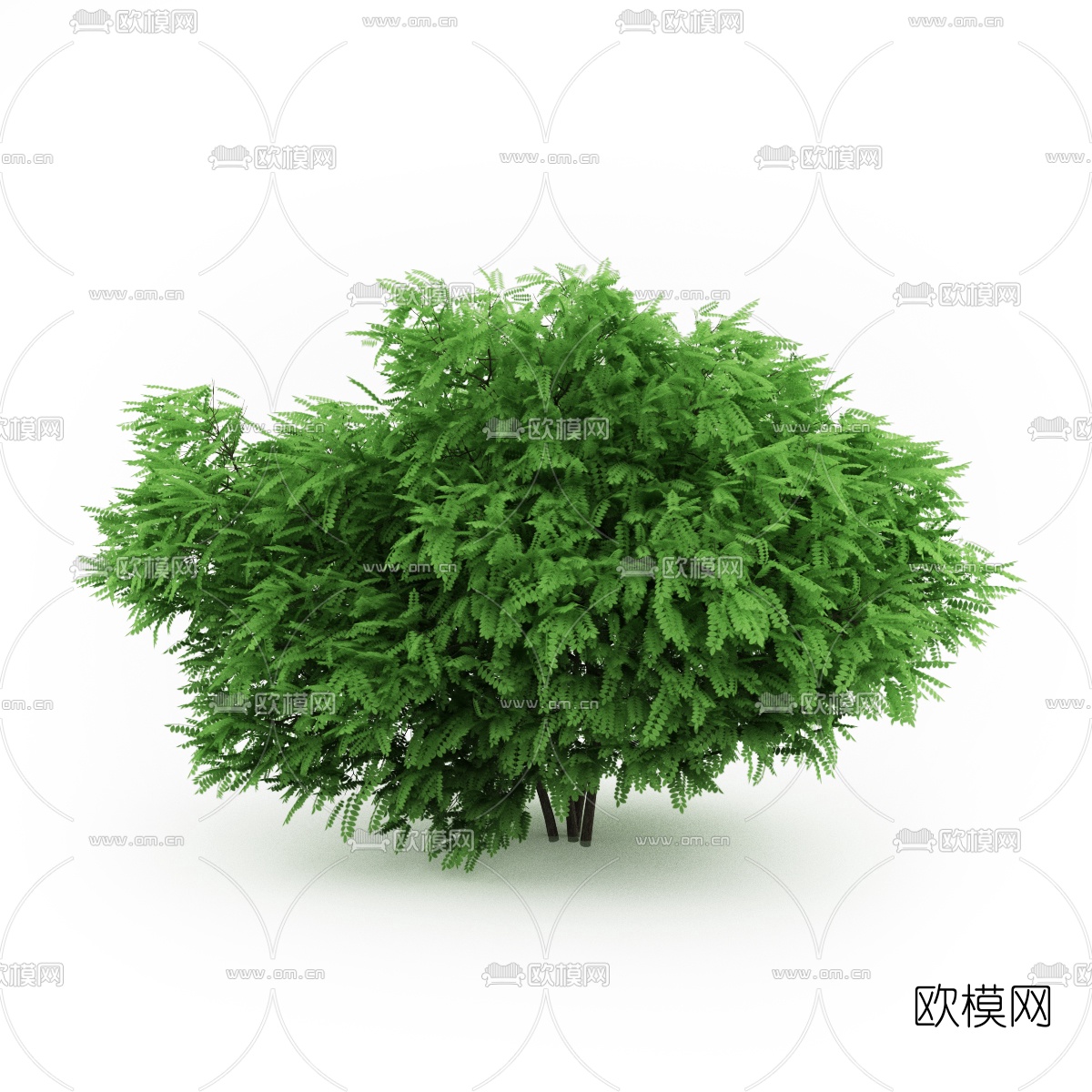 现代灌木3d模型