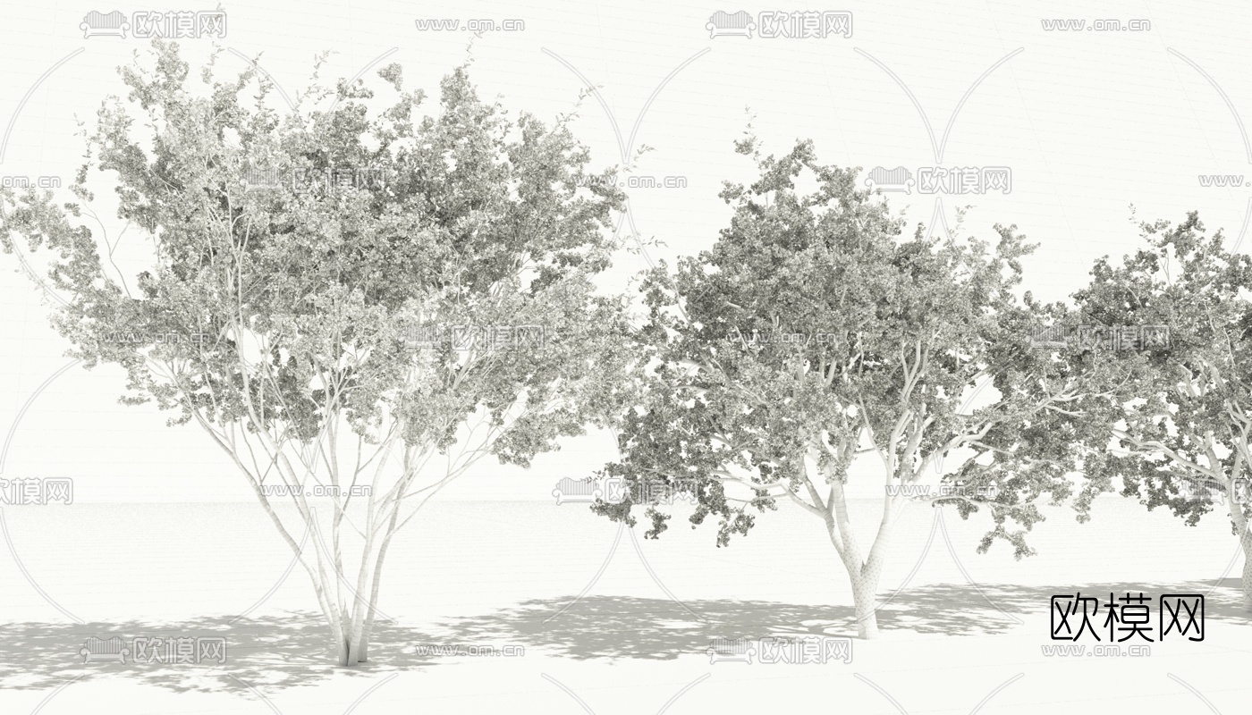 现代景观树3d模型下载（渲染图2）