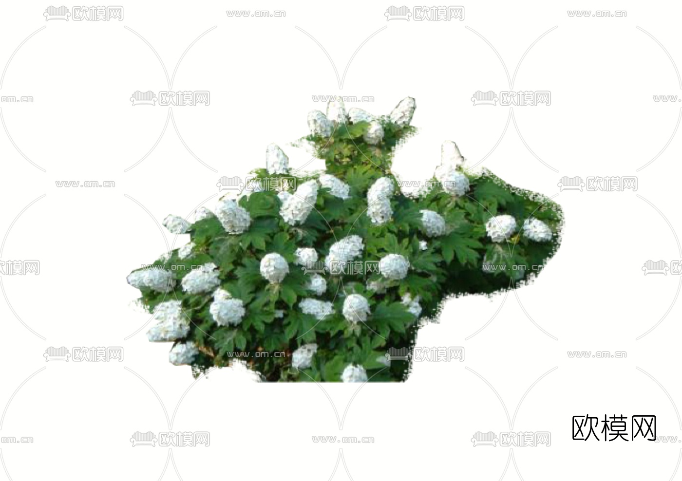 现代2d地被植物组件免费su模型下载_ID10559415_sketchup模型下载-欧模网