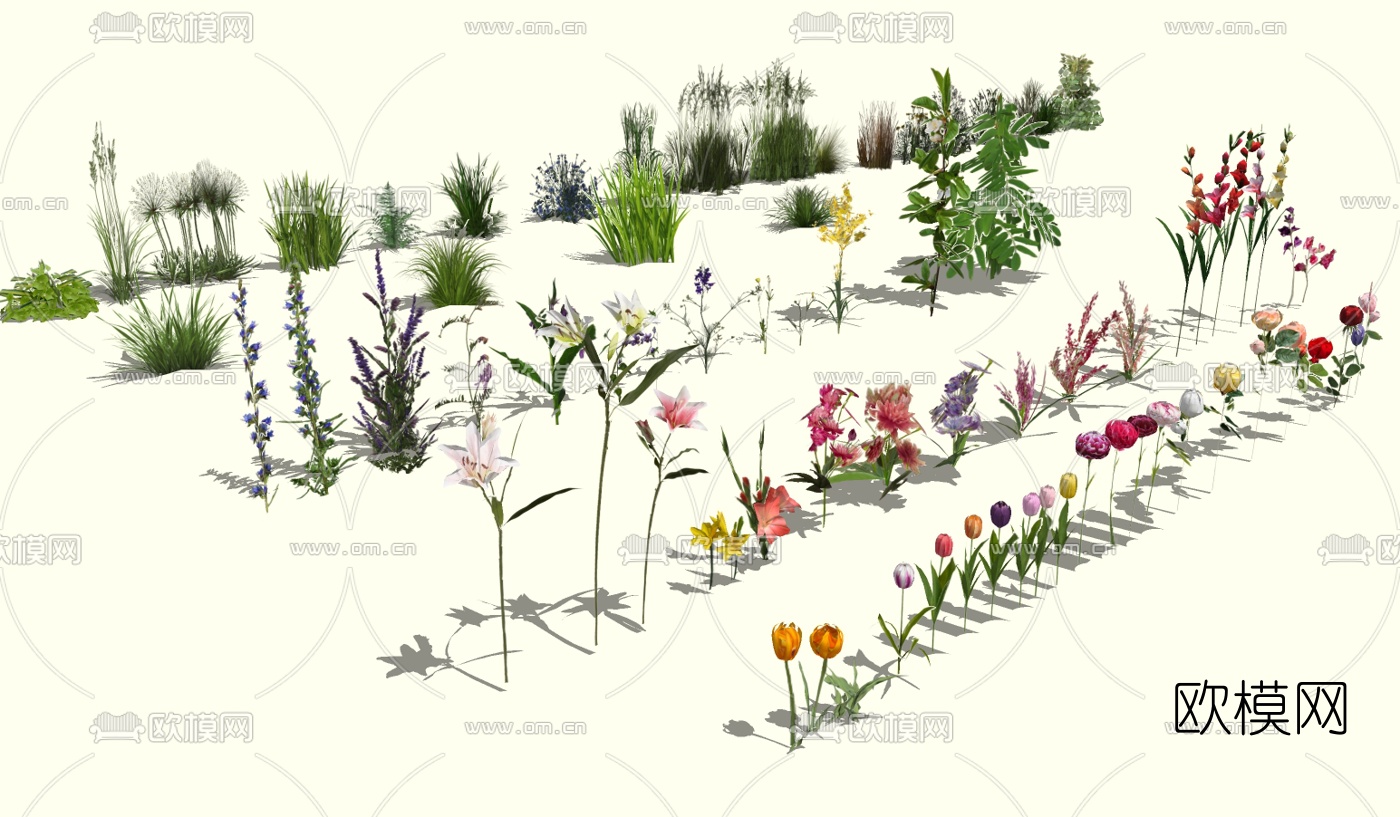 现代花草植物组合su模型下载（渲染图2）