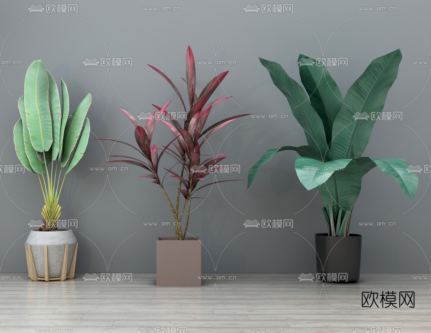 现代植物盆栽3d模型下载
