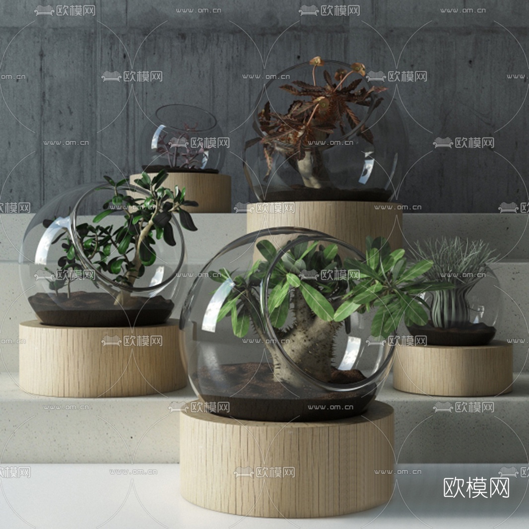 现代盆栽植物摆件免费3d模型