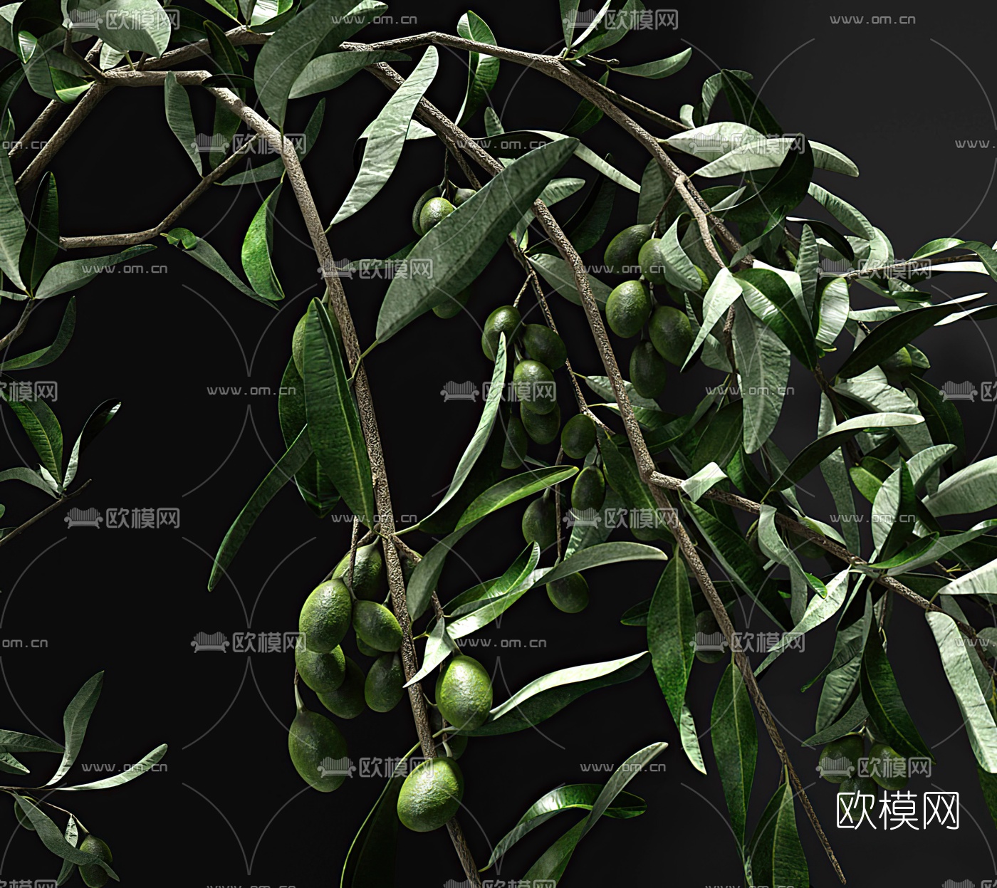 现代花瓶插花3d模型下载（渲染图2）