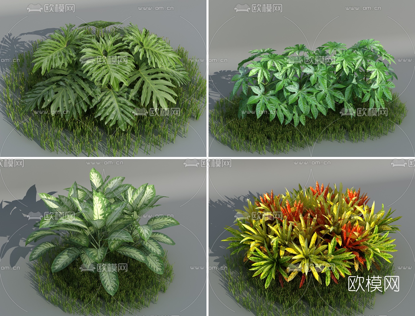 现代绿植灌木3d模型