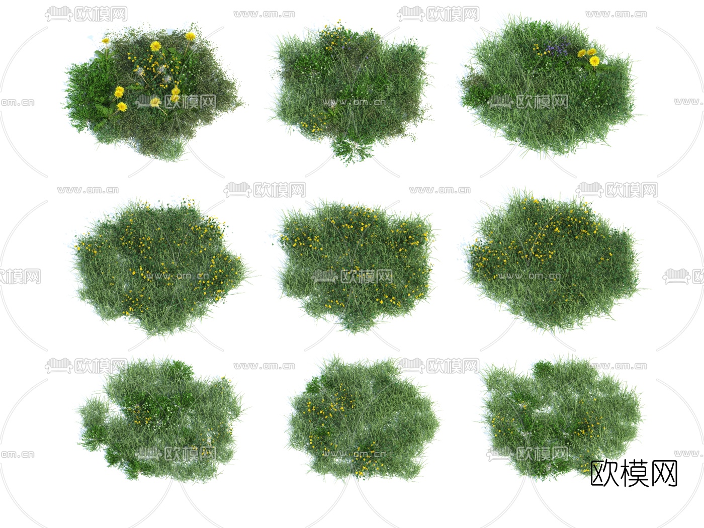 现代植物花草3d模型