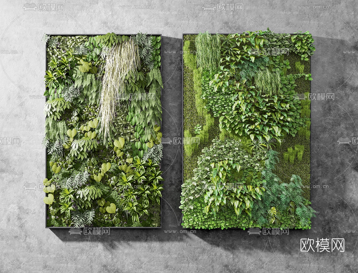 现代植物墙3d模型