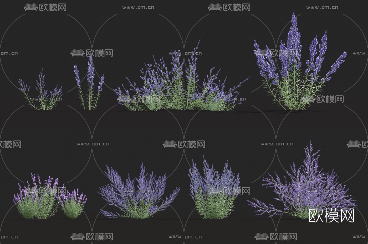现代花草3d模型
