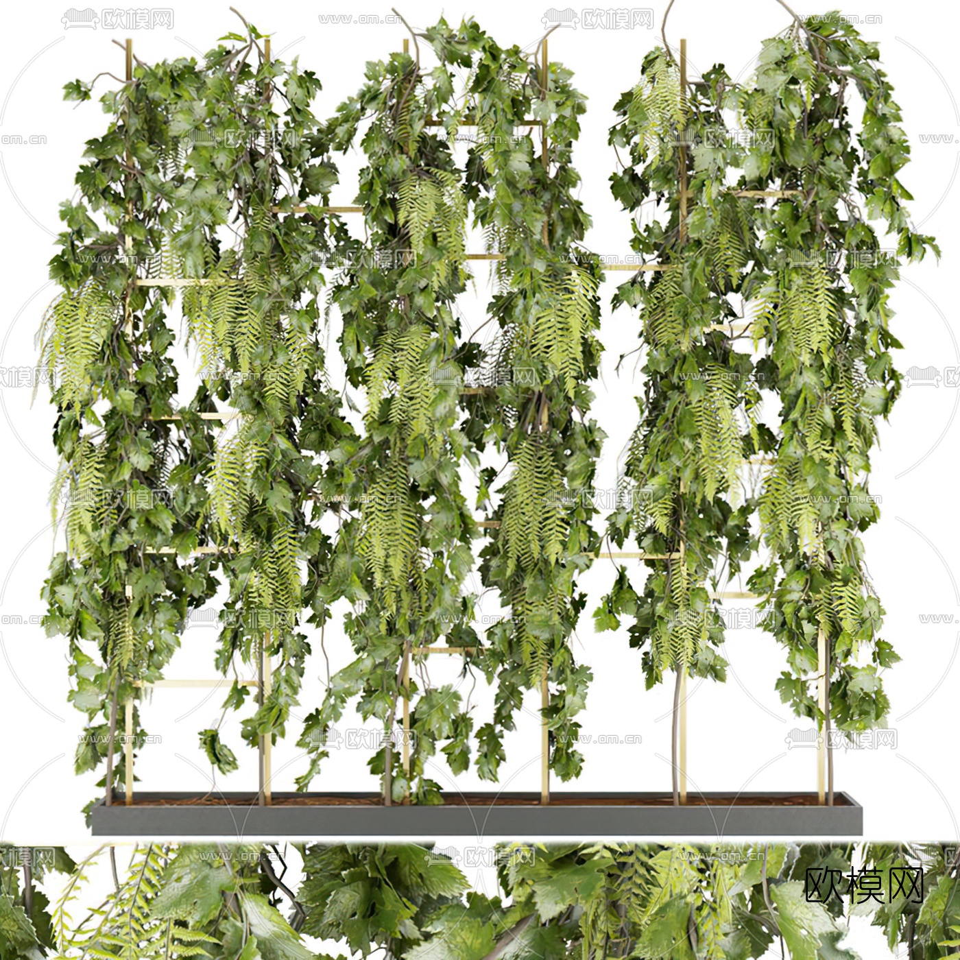 现代植物滕蔓3d模型