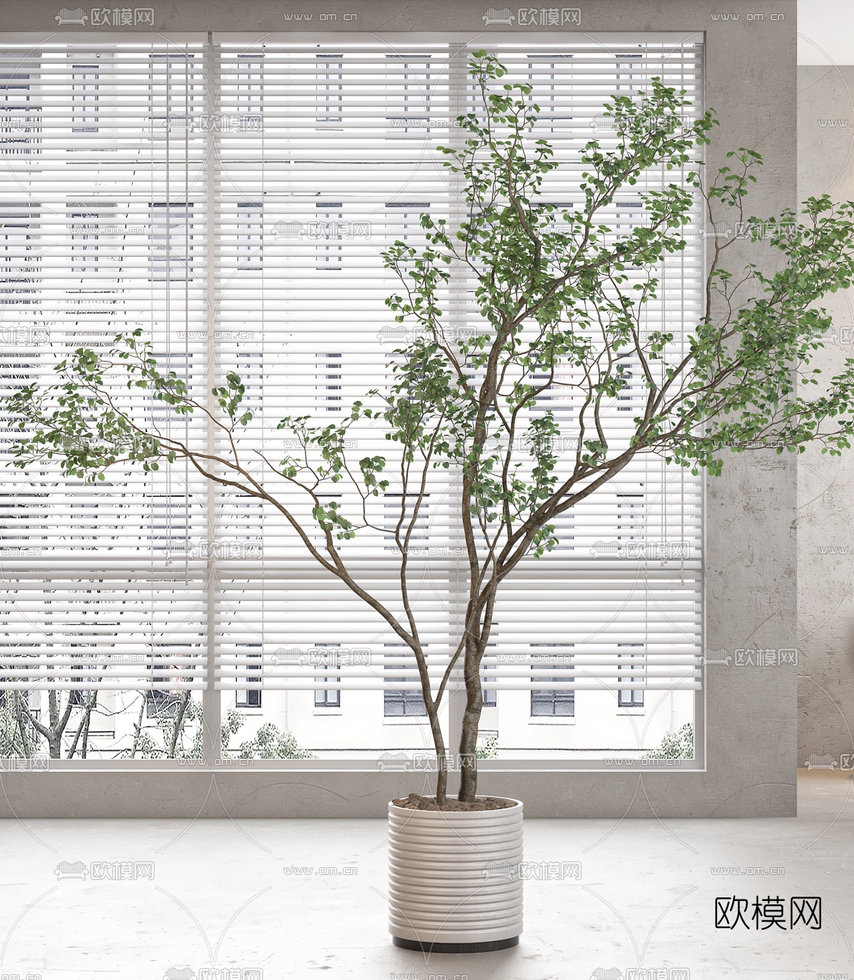 现代绿植盆栽3d模型