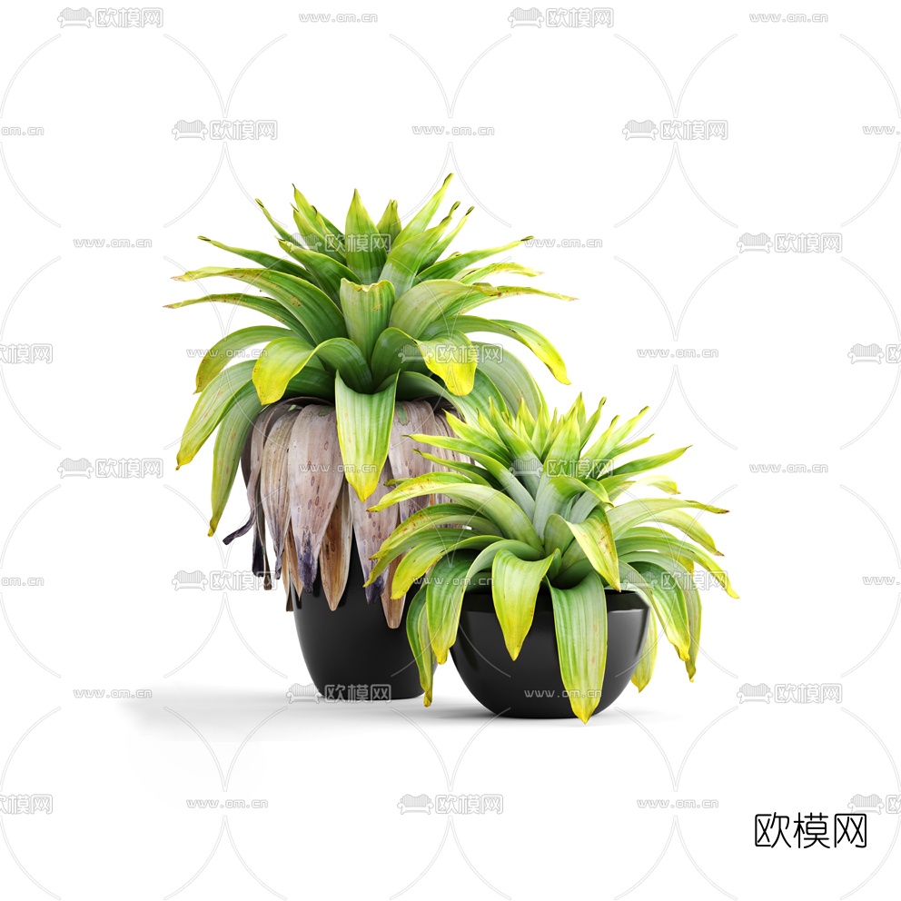现代盆栽3D模型