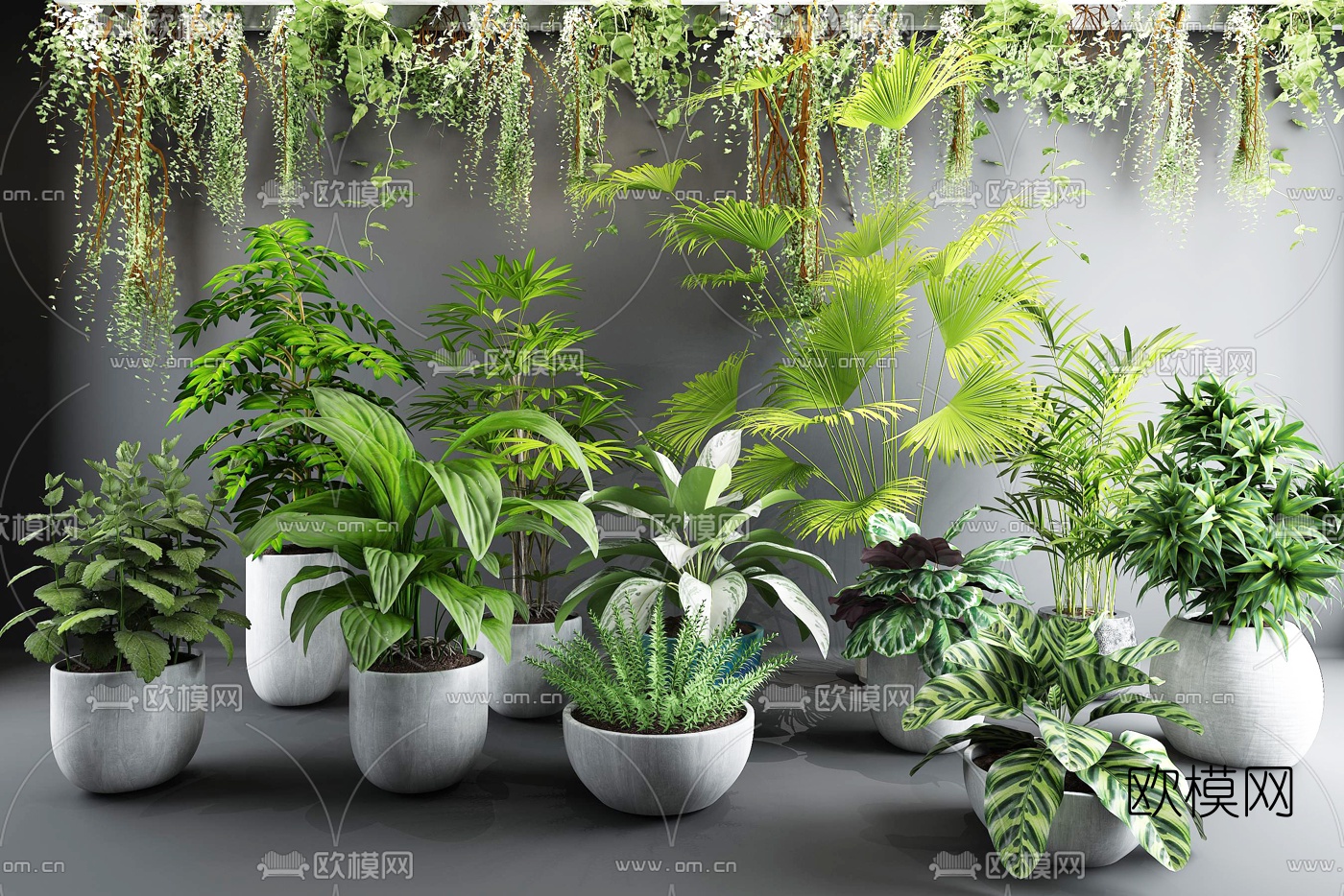 现代绿植盆栽3d模型