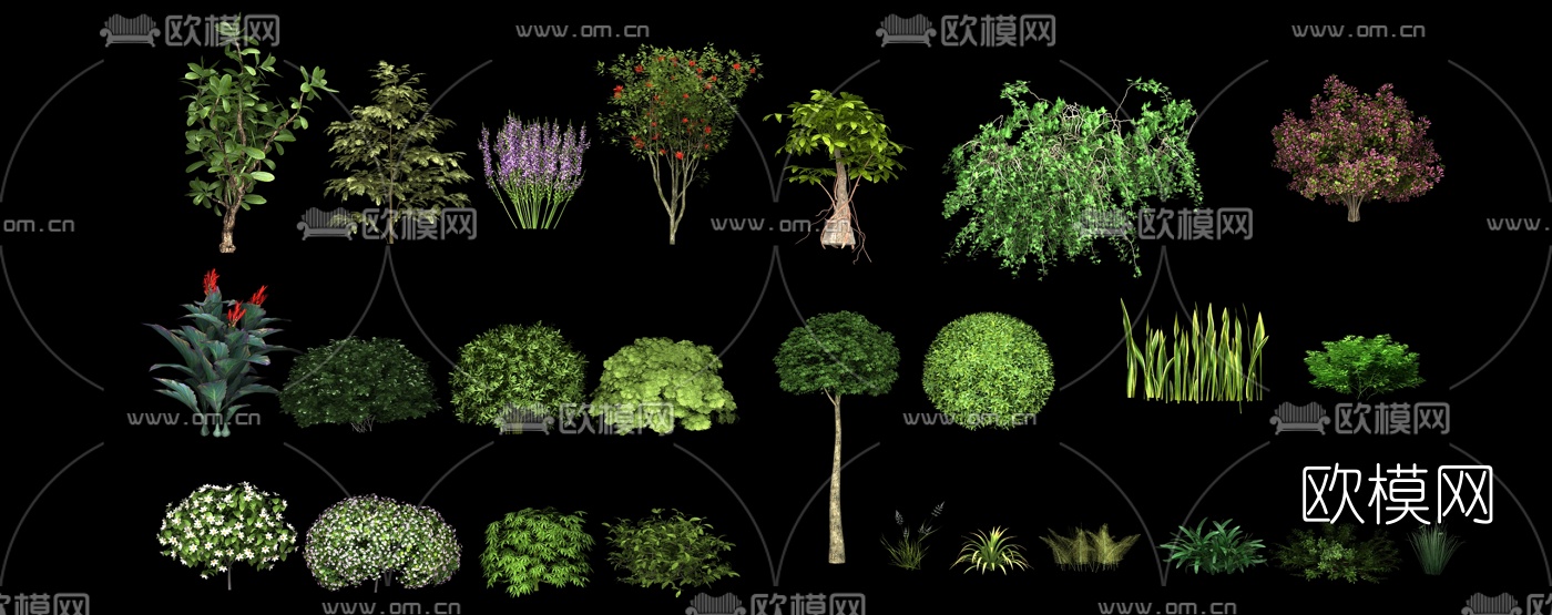 现代景观灌木花草3d模型下载