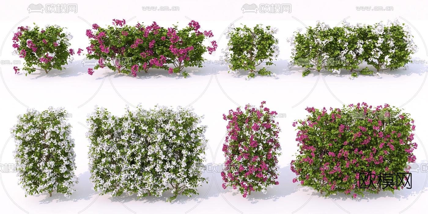 现代绿植灌木3d模型下载