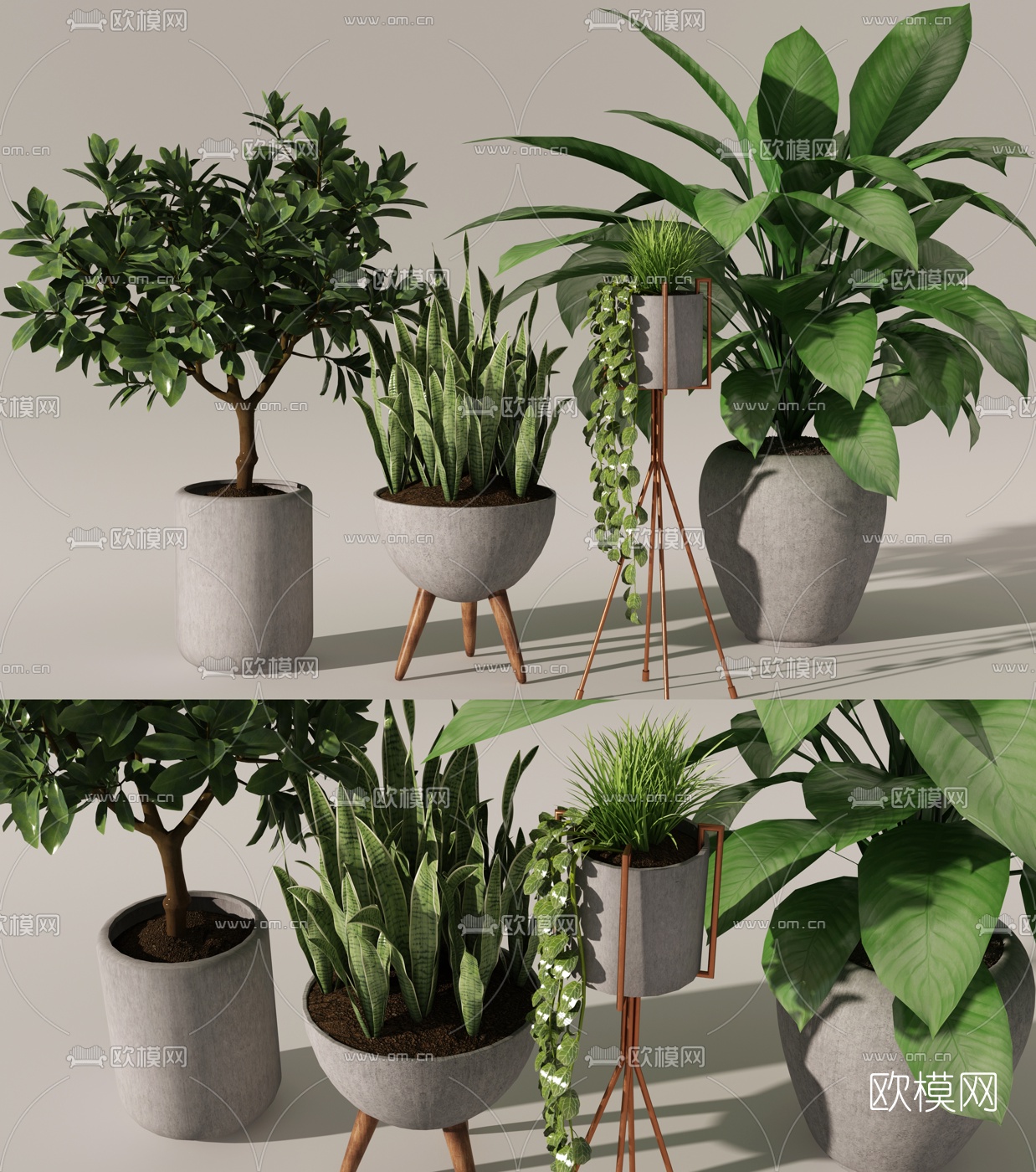 现代绿植盆栽组合3d模型-免费3dmax模型库-欧模网