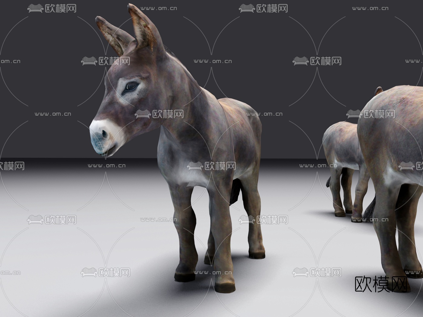现代动物小毛驴3d模型下载（渲染图2）