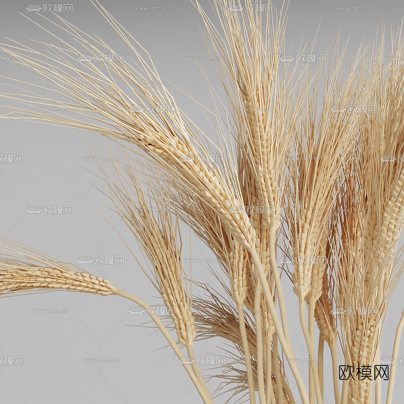 北欧玻璃花瓶麦穗3d模型下载（渲染图3）