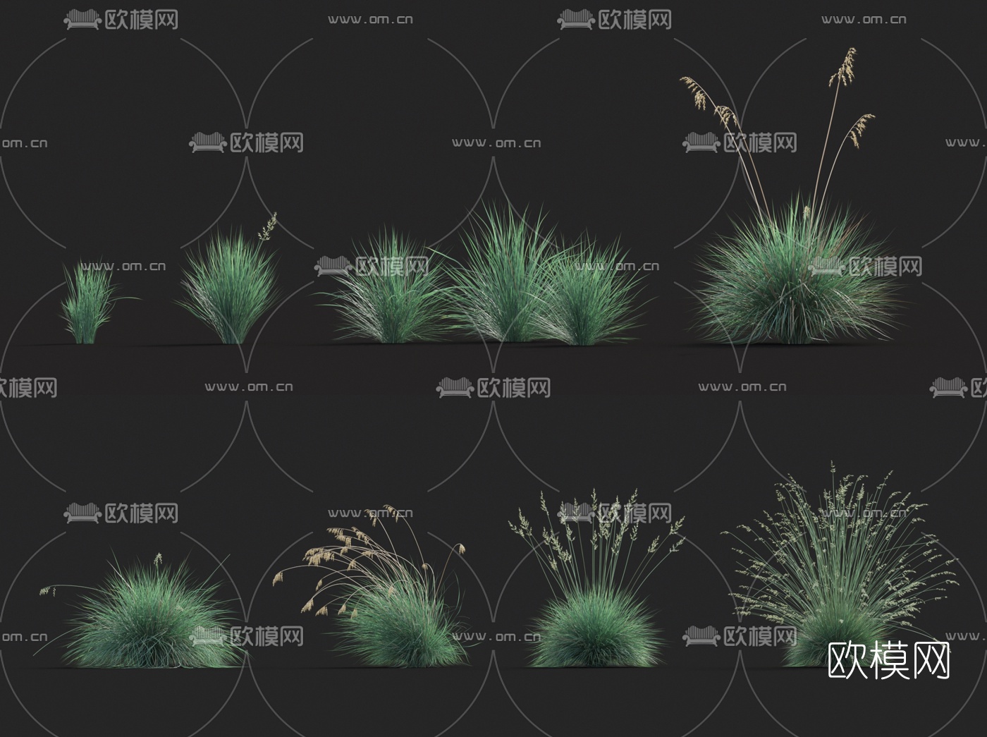 现代花草3d模型下载