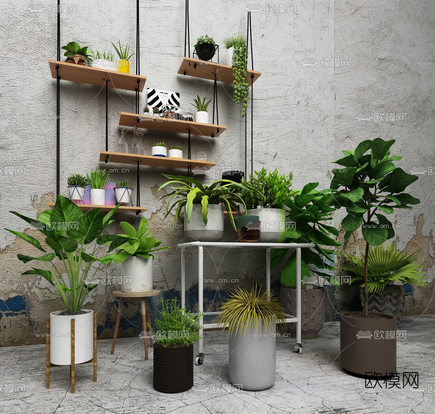 现代花艺植物盆栽吊兰绿植组合3D模型下载_ID10410648_3dmax免费模型-欧模网