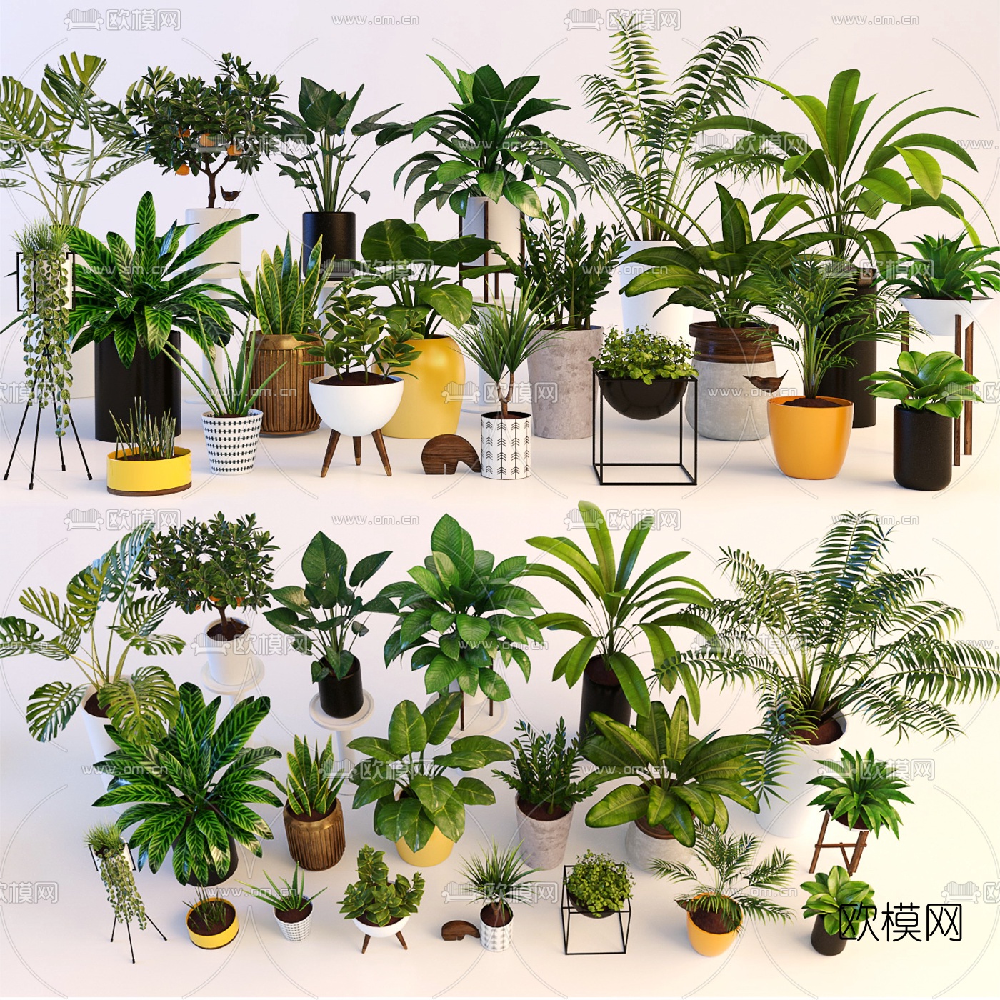 现代植物盆栽3d模型