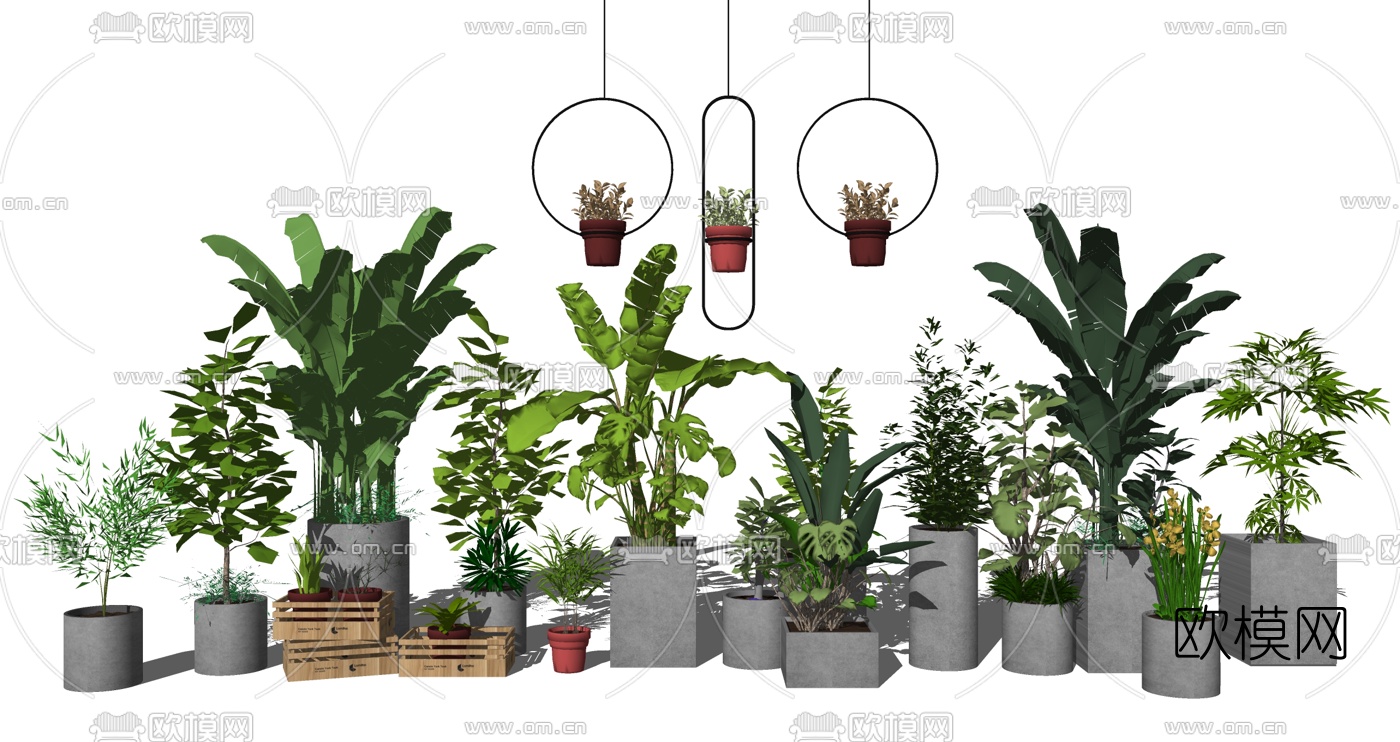 现代观音竹芭蕉盆栽组合su模型下载