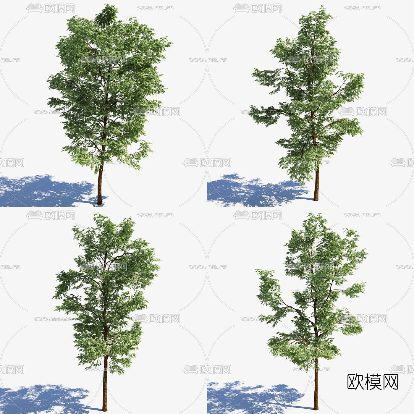 现代景观树组合3d模型下载