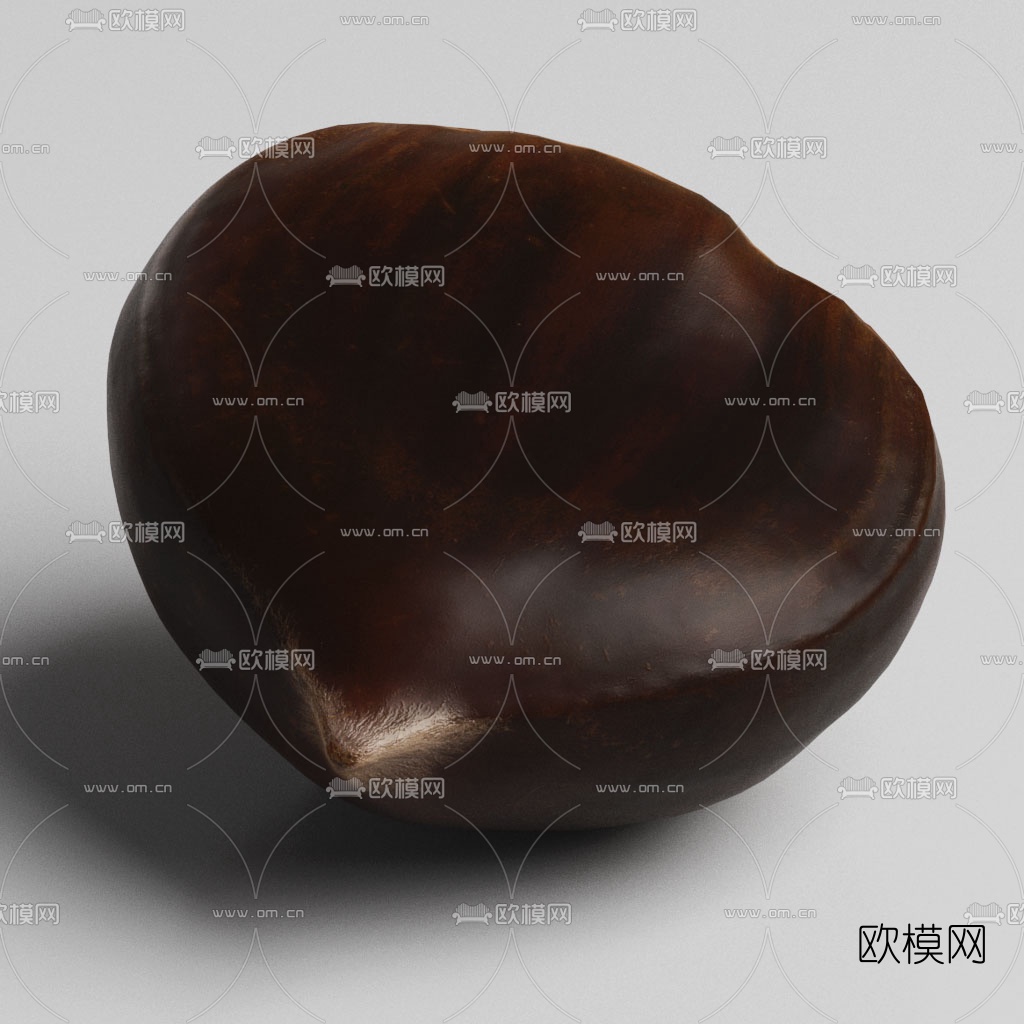 现代干果板栗3d模型下载（渲染图4）