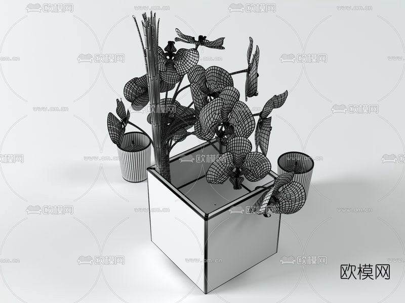 现代玻璃花瓶兰花组合3D模型