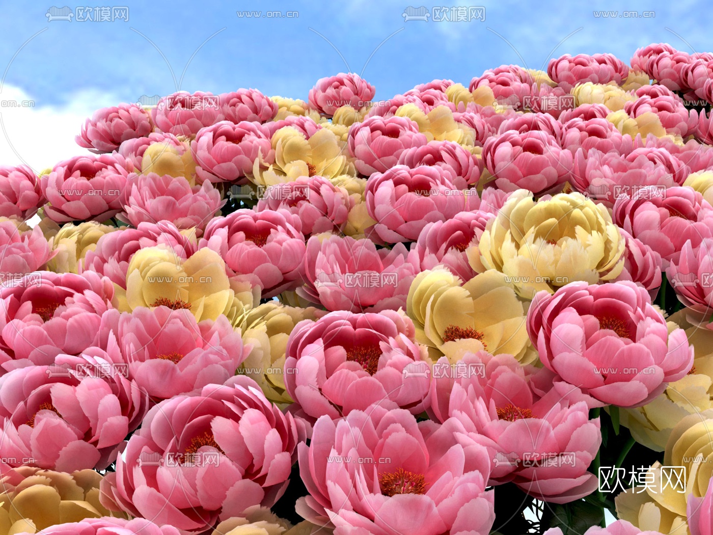 现代花海鲜花莲花3d模型下载（渲染图1）