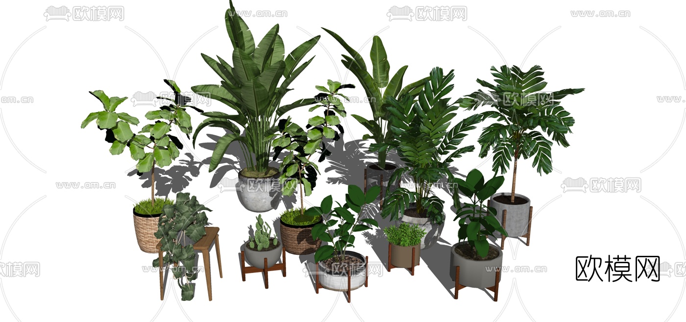 现代盆栽植物组合su模型下载（渲染图1）