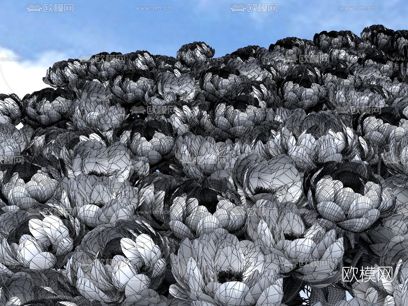 现代花海鲜花莲花3d模型下载（渲染图2）