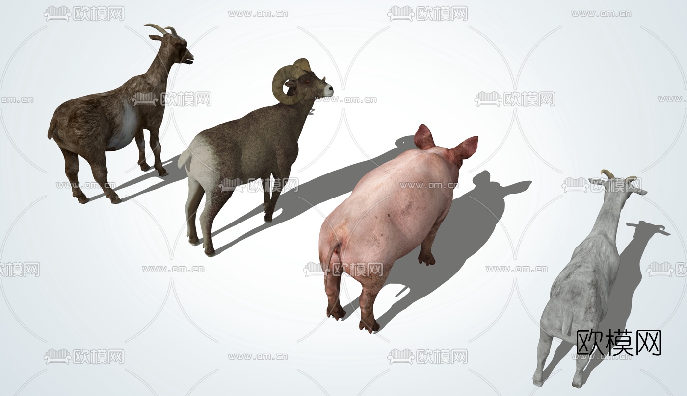 现代家畜猪羊su模型下载（渲染图3）
