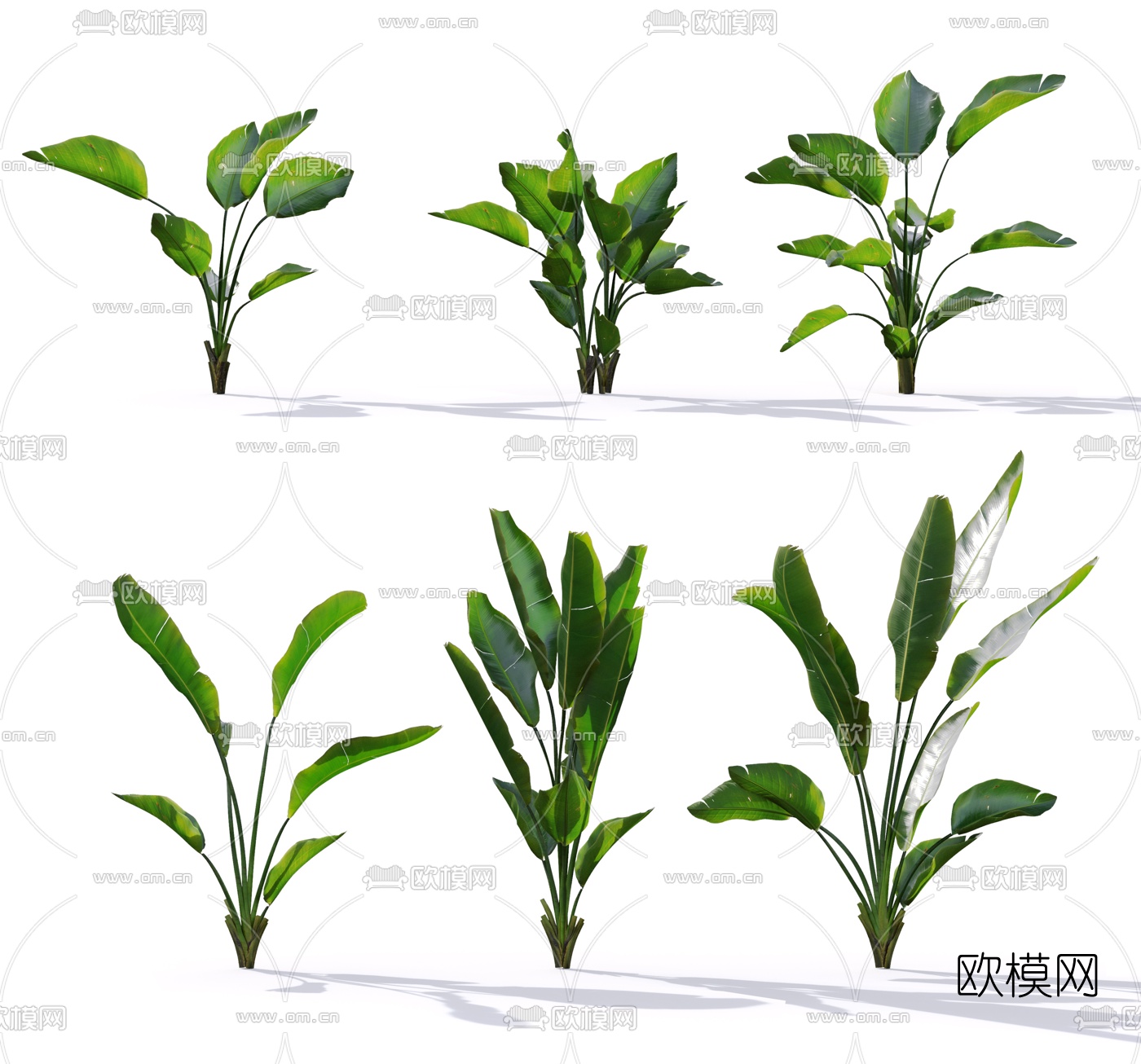现代绿植花草3d模型下载