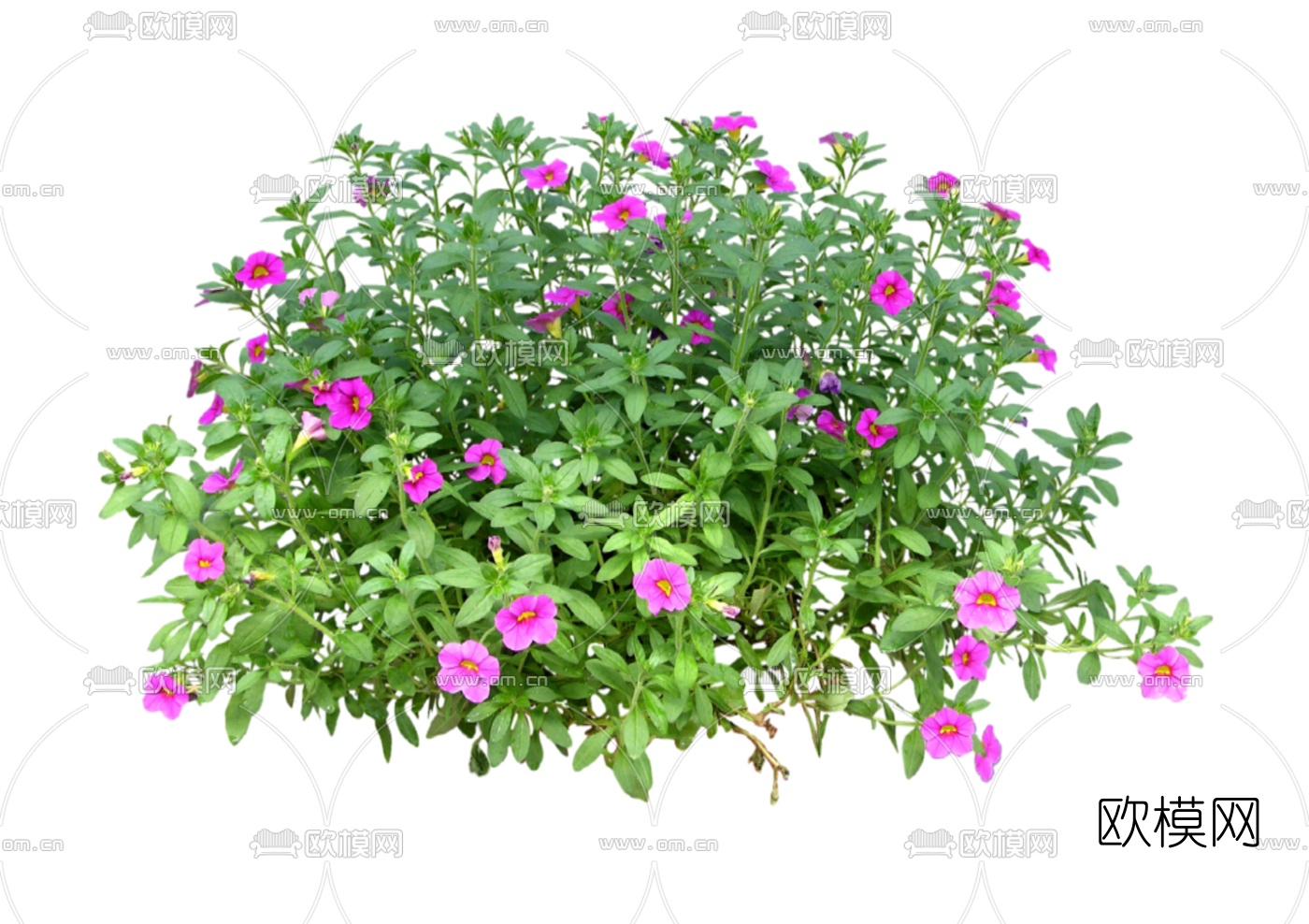 现代2d地被植物组件免费su模型-免费3dmax模型库-欧模网