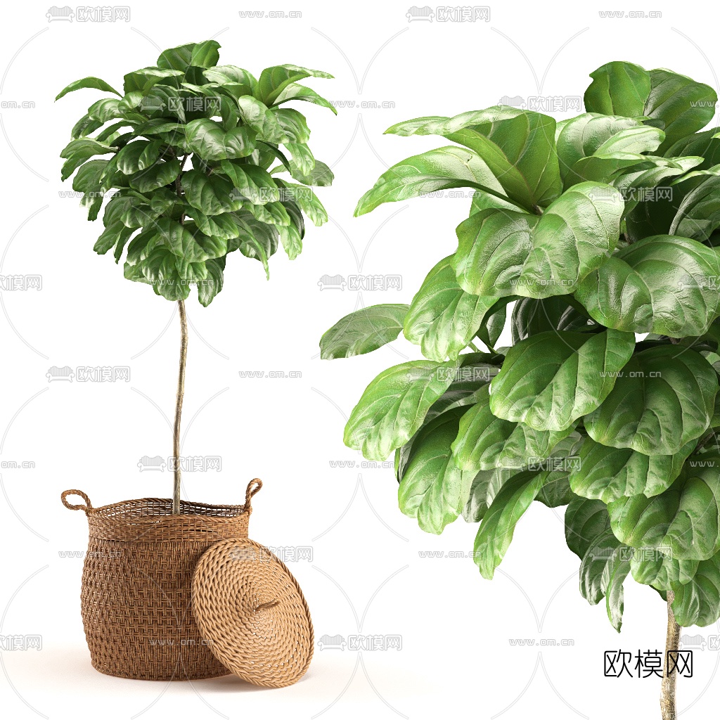 北欧绿植盆栽3d模型下载