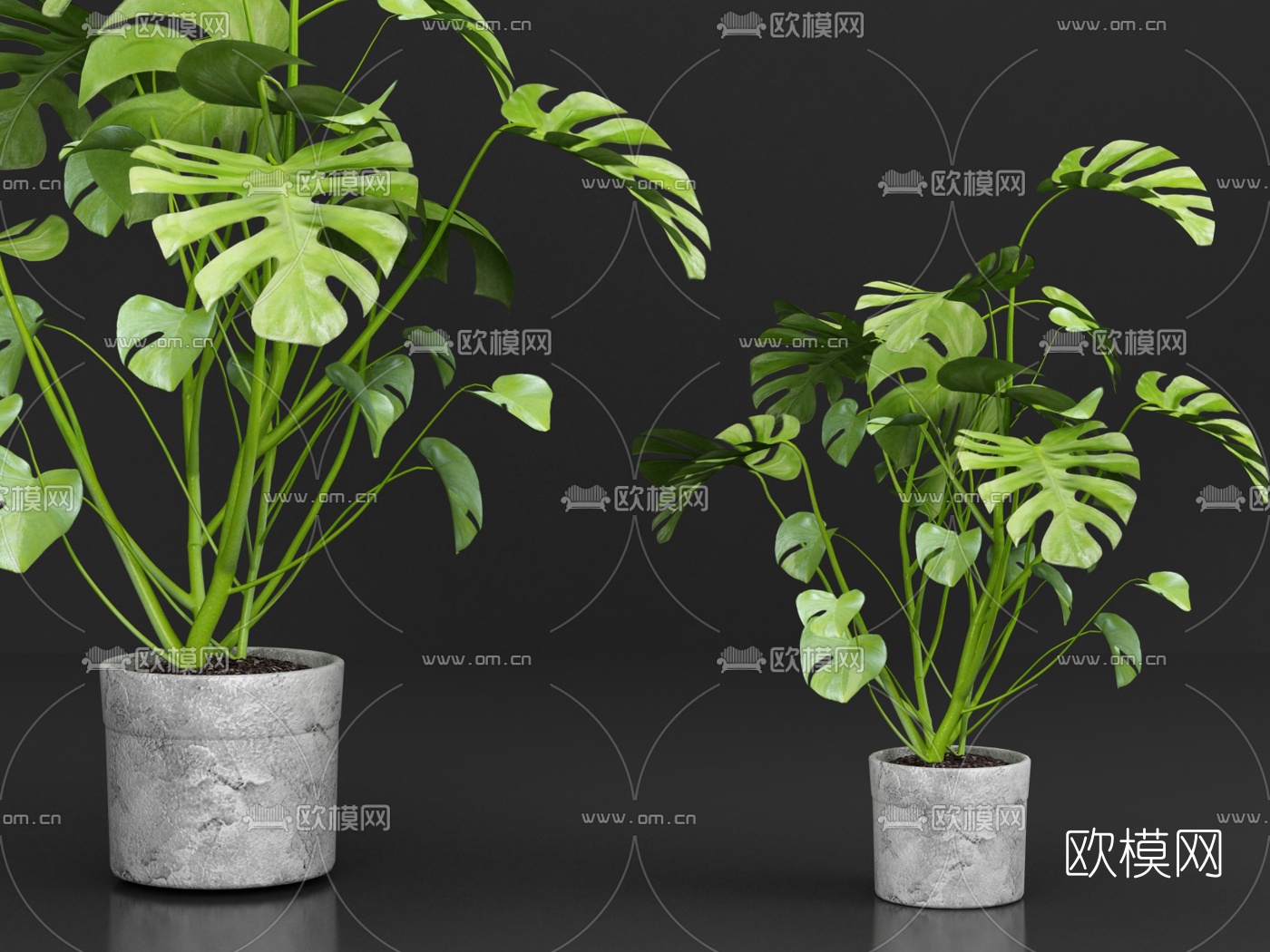 现代植物盆栽3d模型