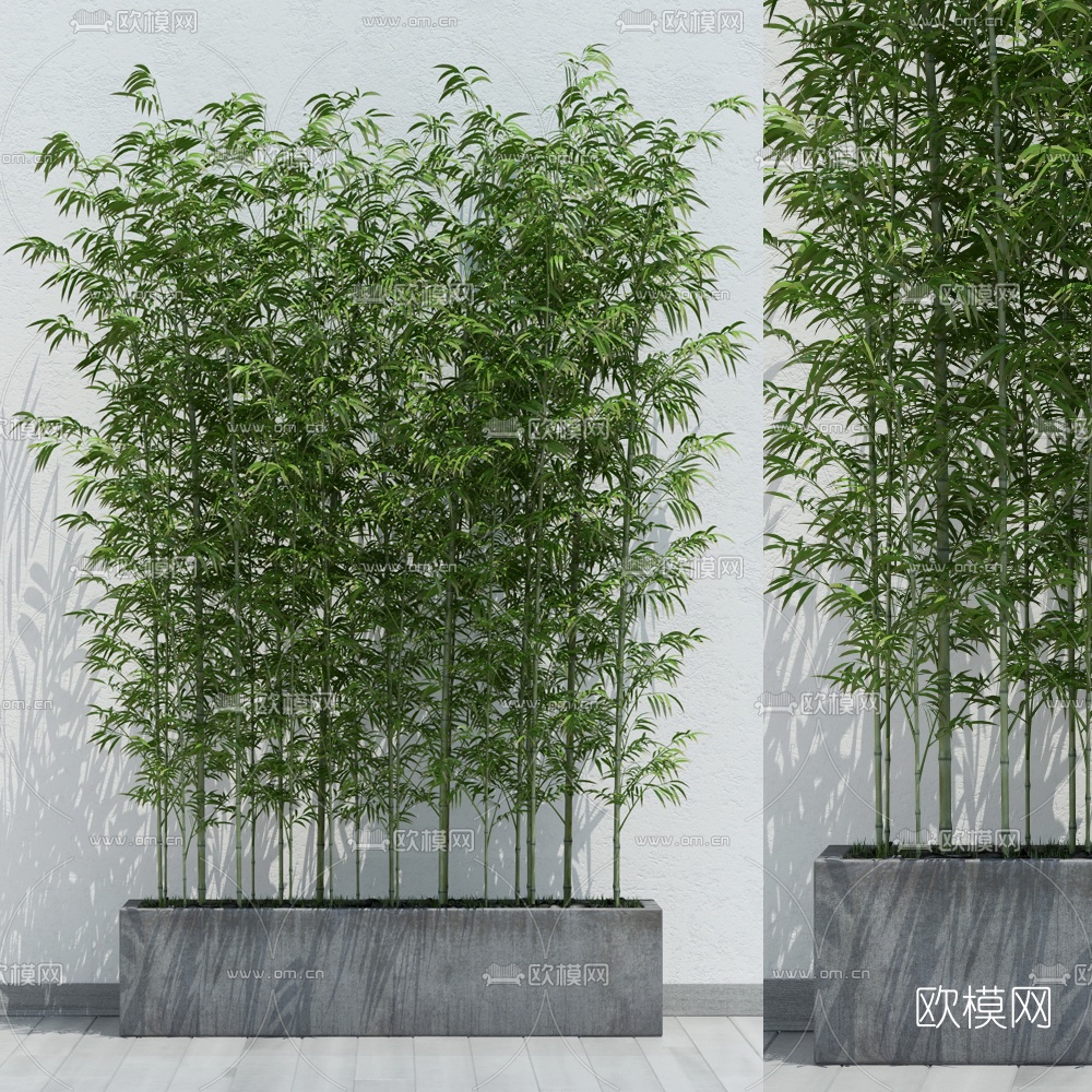 现代竹子盆栽组合3D模型