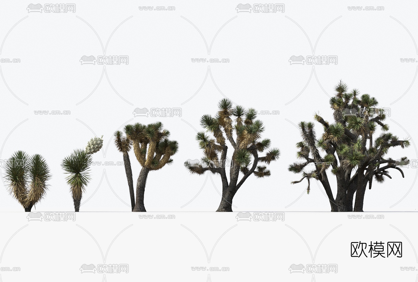 现代沙漠植物3d模型下载（渲染图1）