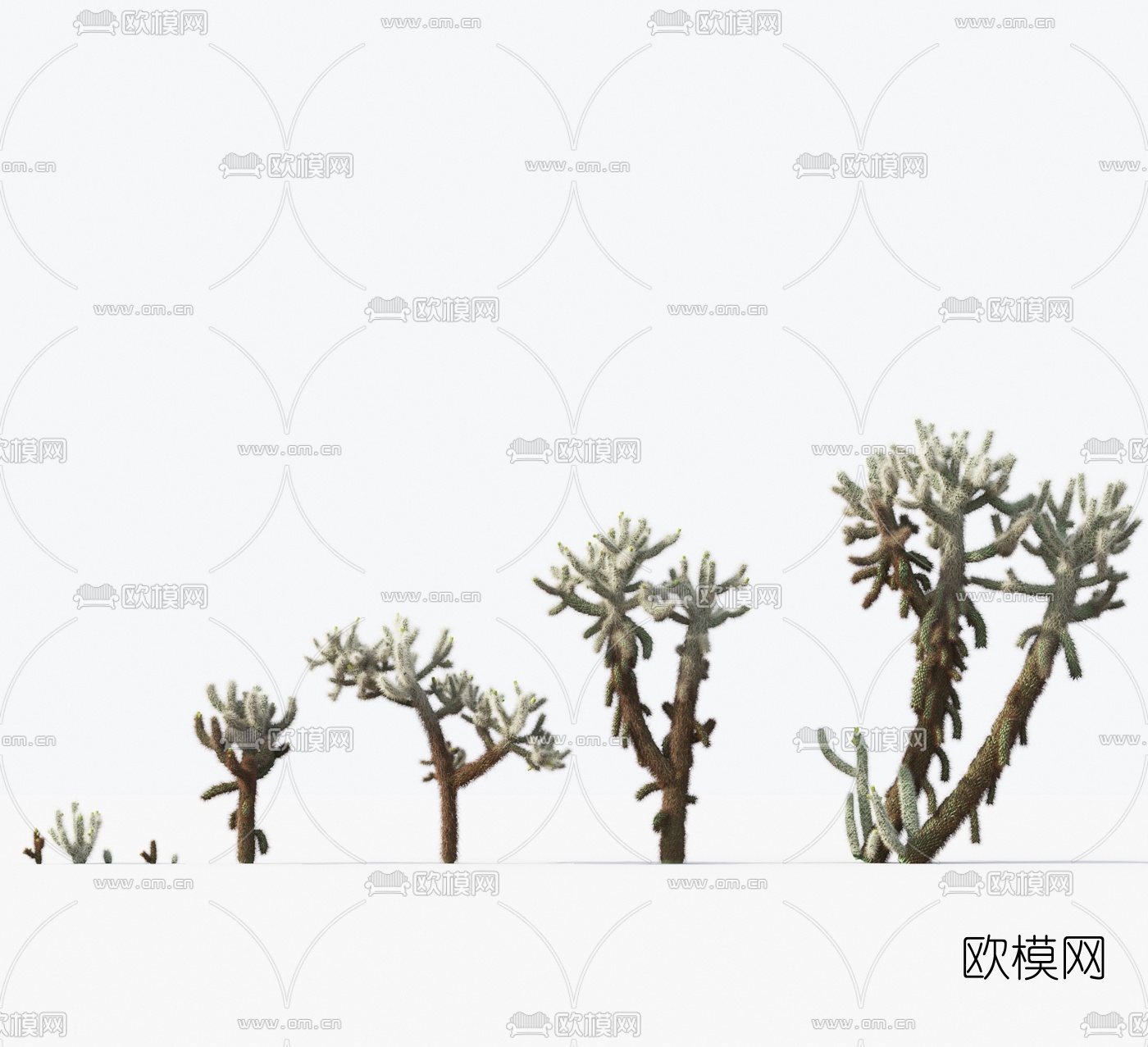 现代沙漠植物花草3d模型