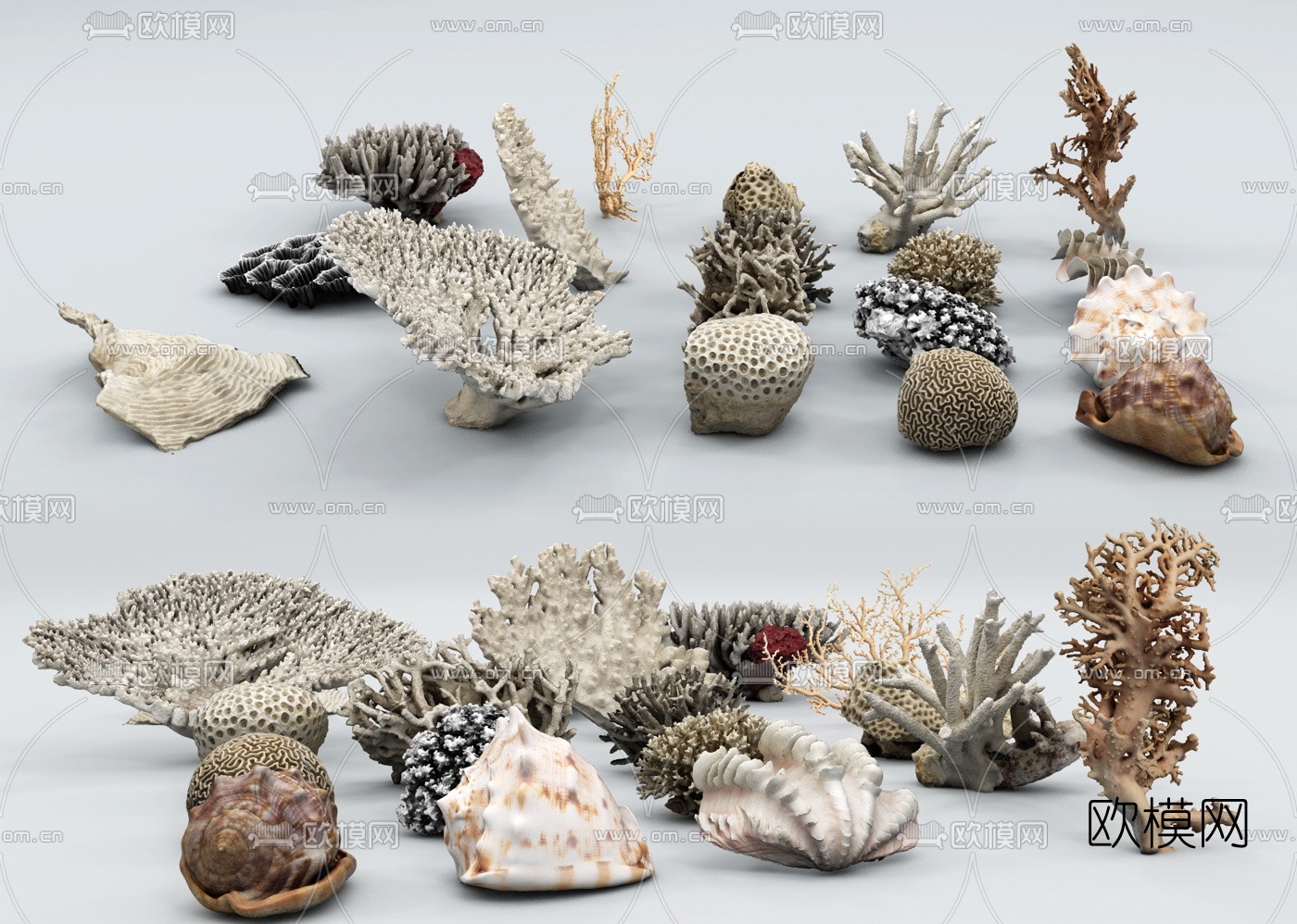现代海底珊瑚海螺3d模型下载（渲染图2）
