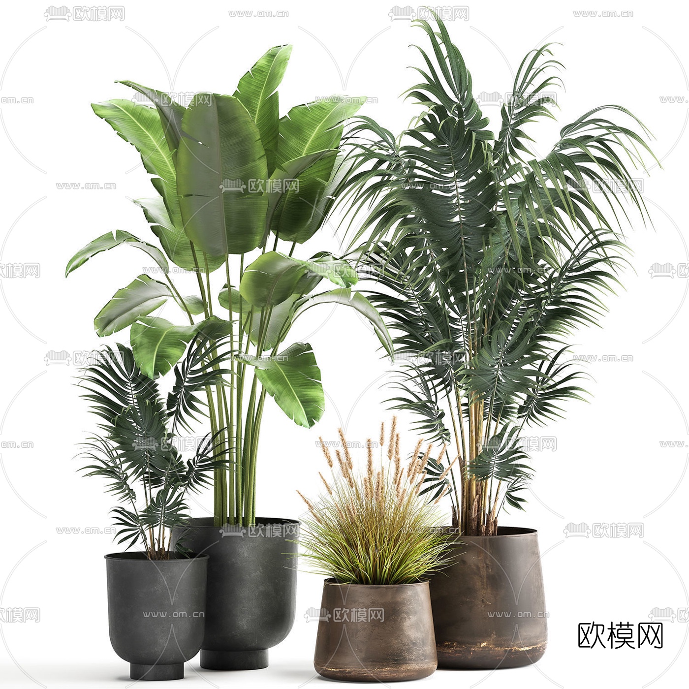 现代植物盆栽3d模型下载（渲染图5）