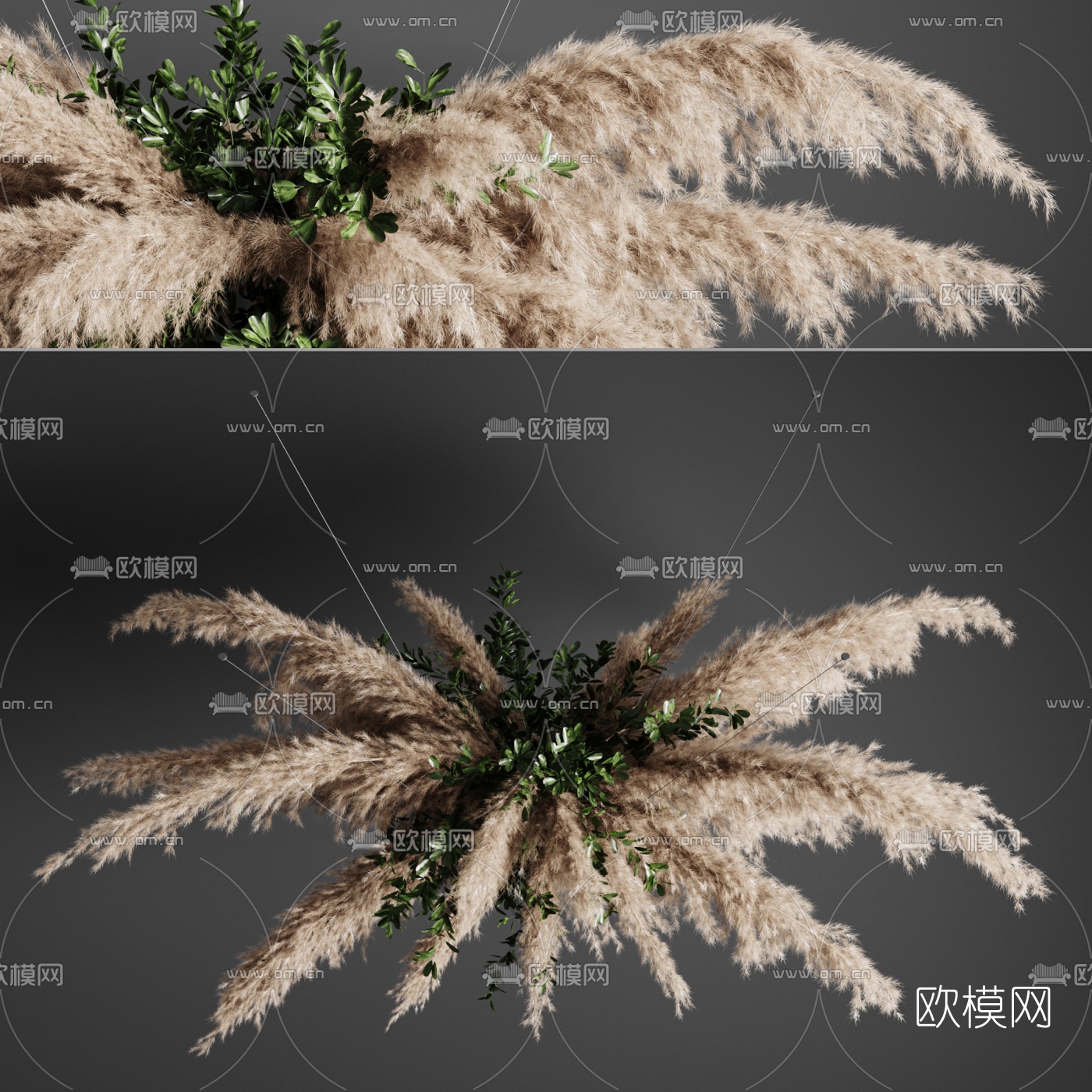 现代芦苇干花吊篮3d模型下载